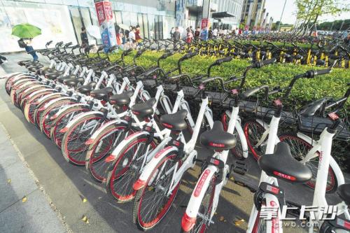 昨日下午，在開福區(qū)萬達(dá)廣場，成片的共享單車停放在廣場前坪。 長沙晚報記者 黃啟晴 攝