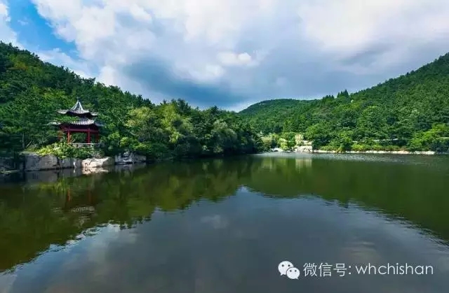 花期已過葉還未紅 去赤山賞云吧！