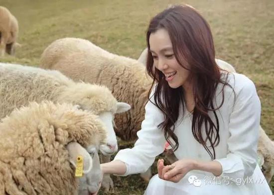 明星旅行糗事一籮筐 總有一個萌到你！