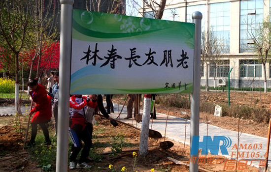 老朋友共建“老朋友長壽林” 老朋友共建“老朋友長壽林”