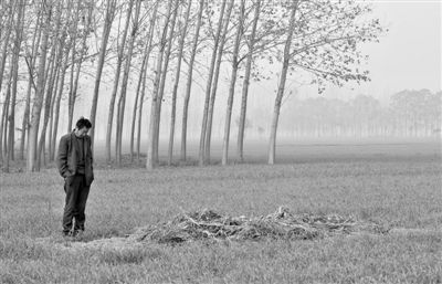 11月21日，高松中站在腦癱雙胞胎兒子墳前。