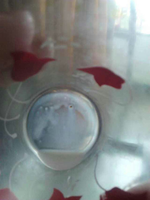 奶粉中出現(xiàn)棕色異物 奶粉中出現(xiàn)棕色異物