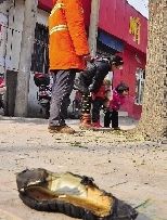 老漢右腿燒傷，樹下扔了一只燒焦的鞋