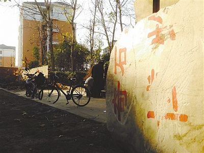 昨日，“上海奇石盆景博物館”原址上，已矗立起小區(qū)樓盤，而刻著博物館名的巨石，廢棄在一旁。本版圖片/新京報(bào)記者 張永生 攝