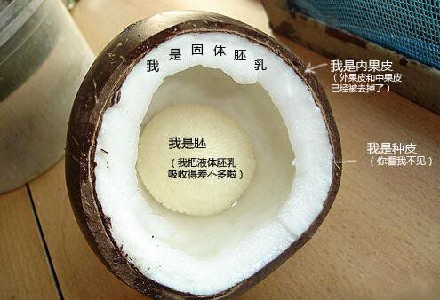 你在甜品店常吃的東西，到底都是啥？