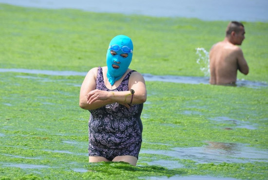 2013年7月3日，山東青島青島高溫來(lái)襲，“青島大媽”不懼滸苔，戴著“強(qiáng)盜面具”出現(xiàn)在海水浴場(chǎng)消暑降