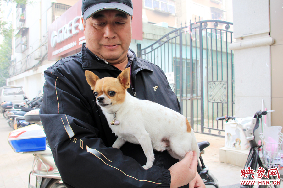 在市民眼里，小狗狗都是他們的小寶貝