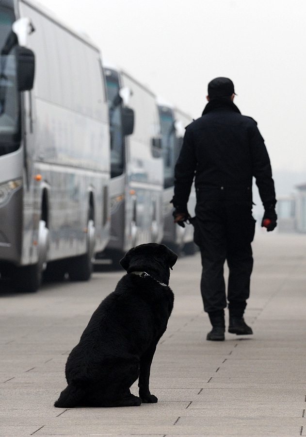 兩會精彩圖集 兩會精彩圖集