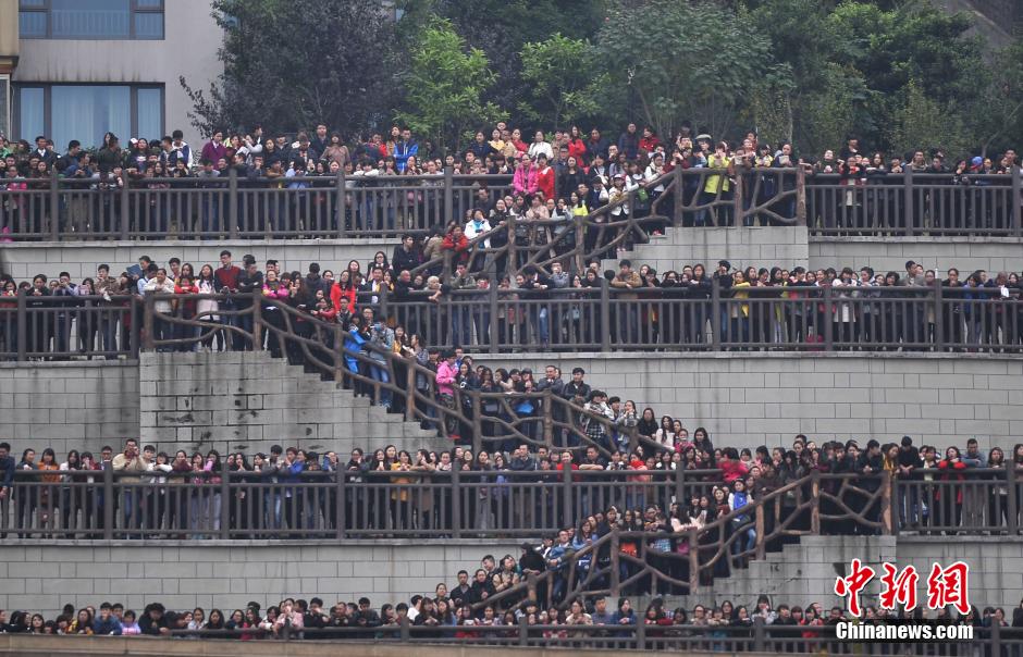 重慶上萬粉絲在南濱路等待《奔跑吧兄弟》節(jié)目的錄制。