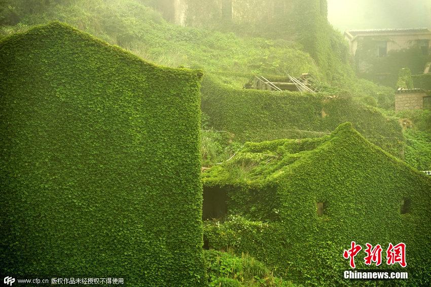 浙江舟山一荒廢海島宛如綠色童話世界 浙江舟山一荒廢海島宛如綠色童話世界