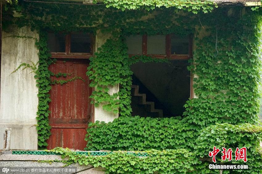 浙江舟山一荒廢海島宛如綠色童話世界 浙江舟山一荒廢海島宛如綠色童話世界