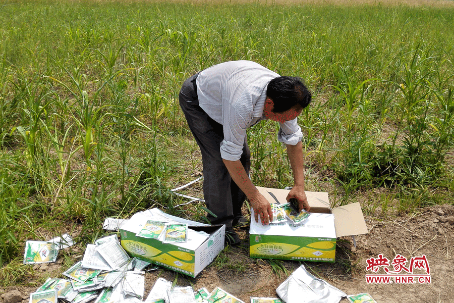村民察看摧毀玉米的農(nóng)藥。