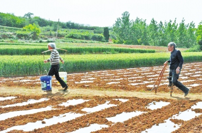 丈夫因車(chē)禍截肢攆她走 洛陽(yáng)女子不離不棄相守40年