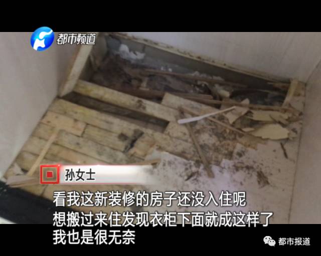 蟻族大軍入侵！十幾萬裝修的新家被“吃掉”