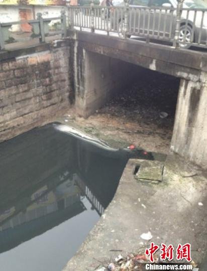 浙江又一環(huán)保局長被邀下河游泳 價碼升至30萬元 浙江又一環(huán)保局長被邀下河游泳 價碼升至30萬元