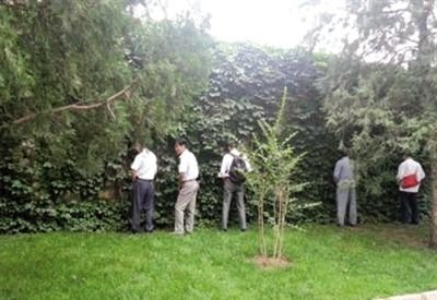 6月30日，頤和園內(nèi)綠地上，多名游客在小解。 網(wǎng)友“攝影老鬼” 攝