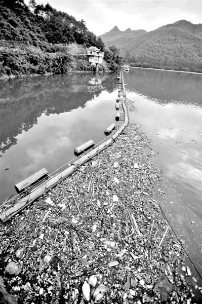 7月7日，廣西賀州市賀江合面獅段被污染的水域。據(jù)新華社