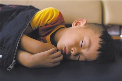 9月6日，等待錄制節(jié)目的多多躺在沙發(fā)上熟睡。新京報記者 侯少卿 攝