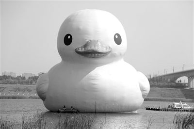 昨日，經(jīng)過連夜修正，大黃鴨的嘴部已恢復變寬，和在香港展出時看起來一樣。