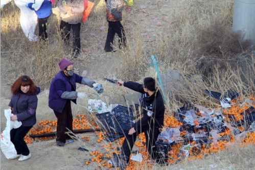 蘭州貨車側(cè)翻橘子遭百余村民哄搶，警察拔槍制止