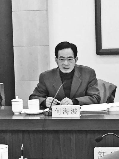 清華大學法學院教授何海波 清華大學法學院教授何海波