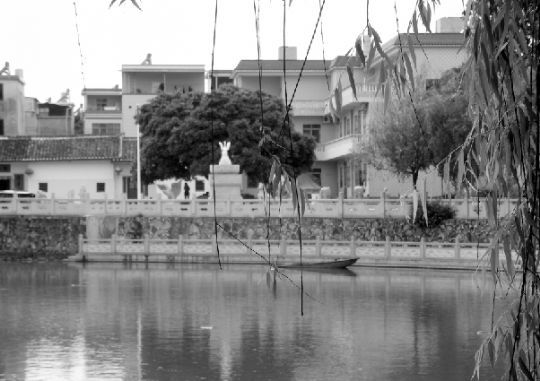 中國首富李河君：請(qǐng)風(fēng)水師在家鄉(xiāng)建大理石雕像