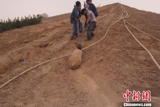 　4月27日上午，當(dāng)?shù)卮迕裨诠系販洗逡痪G化處挖出一枚長(zhǎng)1米，重200斤的炸彈，5月10日，這枚炸彈已