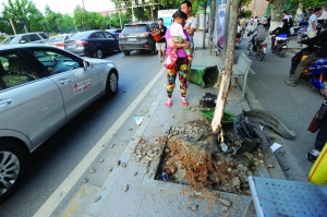 幸虧轎車撞到香樟樹上停了下來,否則后果更嚴重。