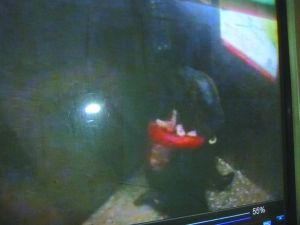 男子將侯某撲倒，侯某反抗。