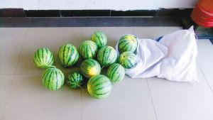 男子開(kāi)價(jià)值30余萬(wàn)汽車偷西瓜 被捕后稱為尋刺激