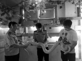 在校大學生網(wǎng)上販賣珍貴野生動物 稱因家境困難