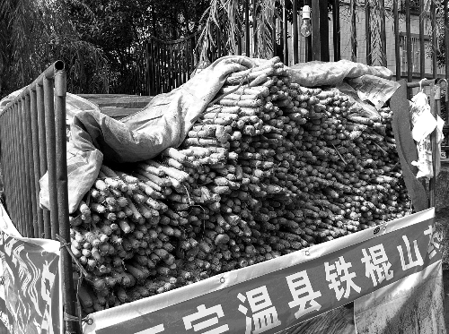 很多種植戶(hù)在街頭出售鐵棍山藥