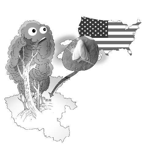 美國白蛾入侵一年能吃300多種植物 鄭州成為疫區(qū) 美國白蛾入侵一年能吃300多種植物 鄭州成為疫區(qū)