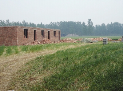 麥地被毀 麥地被毀