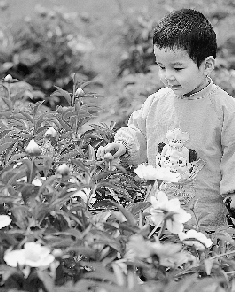 　春光里,鄭州處處皆美景。