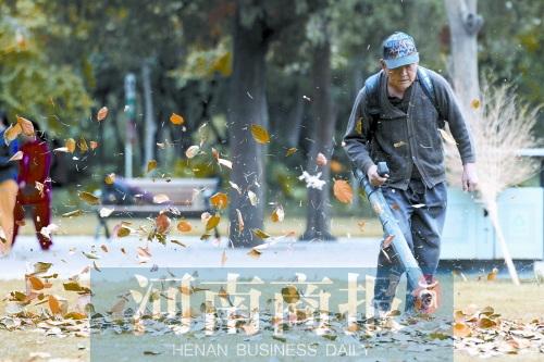 秋風吹過，落葉滿地