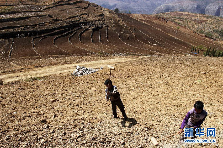 3月16日，在貴州省畢節(jié)市威寧縣斗古鄉(xiāng)中關村，兩個孩子幫助家人在干旱的土地上勞動。