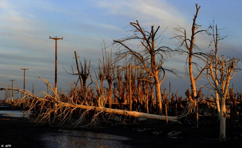 阿根廷一城市被淹25年后重見(jiàn)天日 阿根廷一城市被淹25年后重見(jiàn)天日