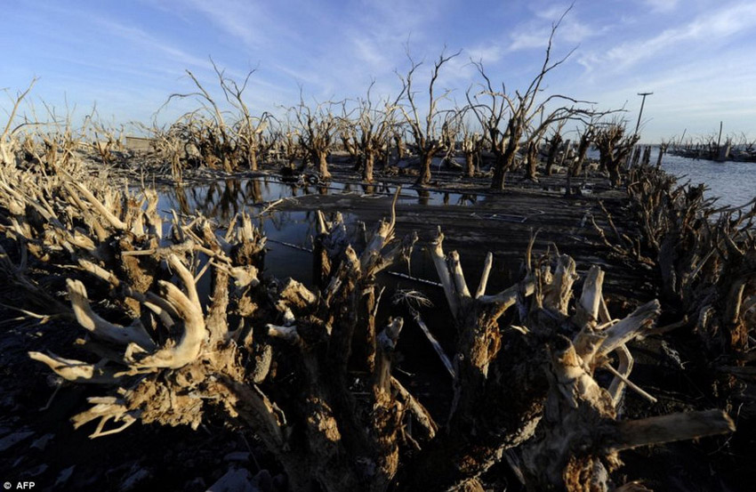阿根廷一城市被淹25年后重見(jiàn)天日 阿根廷一城市被淹25年后重見(jiàn)天日