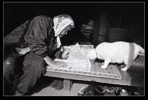 報(bào)紙 祖母與貓的溫情世界 報(bào)紙 祖母與貓的溫情世界