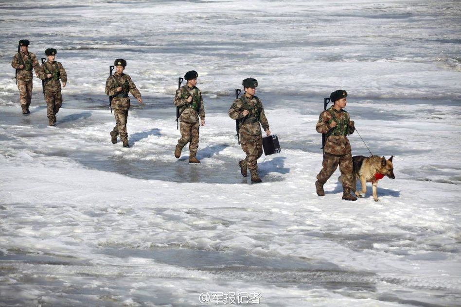 軍犬退役 軍犬退役