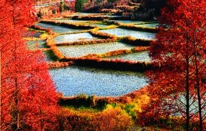 初冬游重慶石柱 90元玩遍四大景區(qū) 初冬游重慶石柱 90元玩遍四大景區(qū)