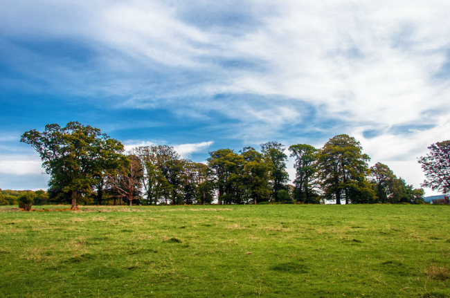 優(yōu)雅的城堡:蘭海德羅克 優(yōu)雅的城堡:蘭海德羅克