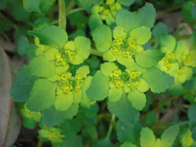 龍峪灣美景 龍峪灣美景