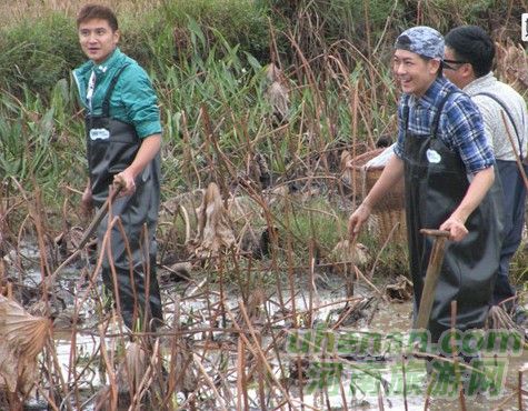 爸爸去哪兒？親密接觸荷花仙子