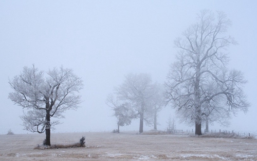 外出旅游時天氣變化的10個征兆 外出旅游時天氣變化的10個征兆