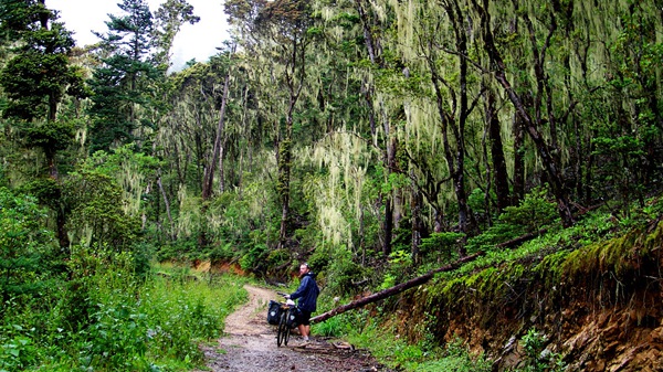 度個(gè)最特別的冬天 盤(pán)點(diǎn)12月最佳出游地