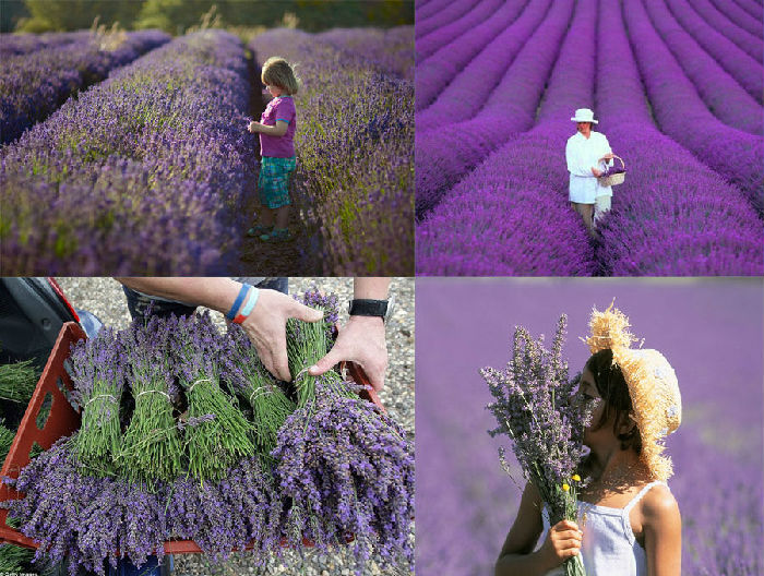 超唯美2014年旅行風(fēng)景日歷 超唯美2014年旅行風(fēng)景日歷