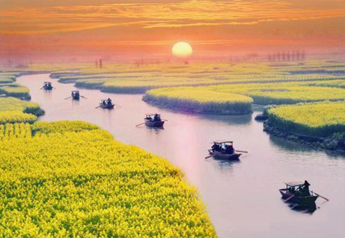 如何拍攝油菜花？達人教你7個拍攝技巧