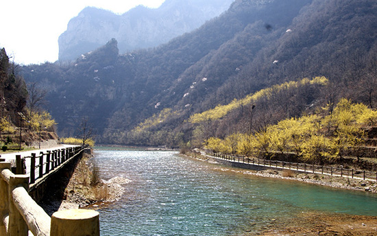 有一種呼喚，叫春天里的蟒河！